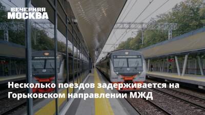 Несколько поездов задерживается на Горьковском направлении МЖД