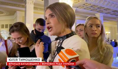 Юлия Тимошенко - ФОПы передали свои законопроекты в Раду и просят оставить их в покое, — Тимошенко (видео) - enovosty.com
