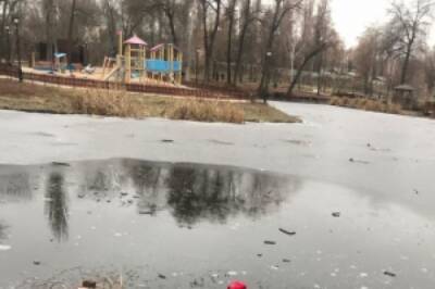 В Липецкой области 11-летний школьник утонул в пруду городского парка