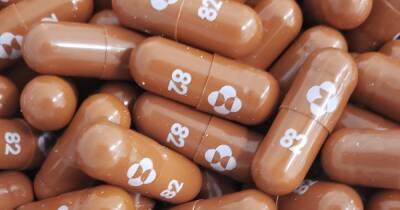 Дания первой в ЕС одобрила применение таблеток Merck от COVID-19