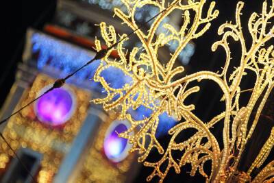 Новогодняя ель на Дворцовой и гирлянды на Невском заиграют яркими красками 20 декабря