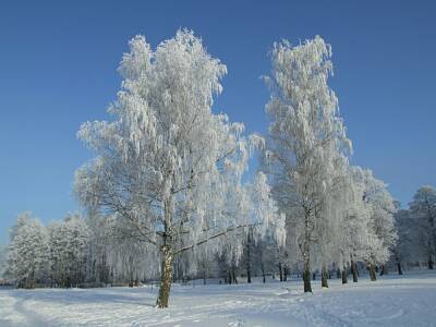 В центральной России похолодает до -35