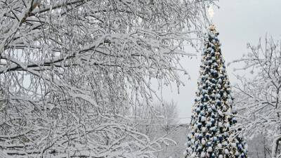 Метеоролог Тишковец прогнозирует «классическую русскую зиму» на Новый год