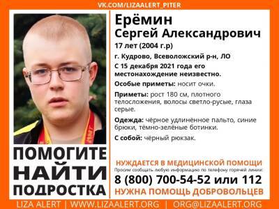 «Лиза Алерт» просит помощи в поисках 17-летнего юноши, пропавшего в Кудрово - ivbg.ru - Украина - Петербург
