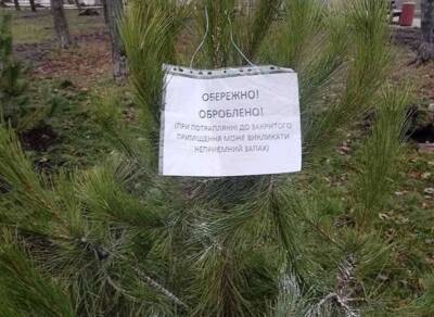 Киевлянам напомнили о штрафах незаконную вырубку елок в городе