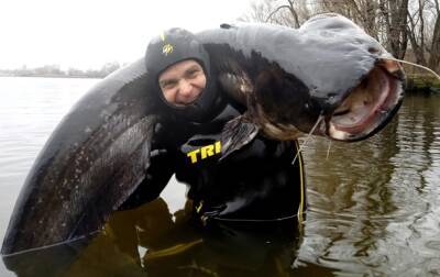Рыбак из Днепра поймал сома весом 50 килограммов
