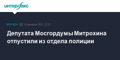 Депутата Мосгордумы Митрохина отпустили из отдела полиции
