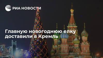 Главную новогоднюю елку России доставили в Кремль