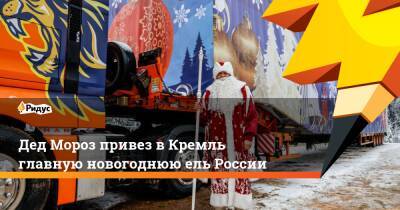 Дед Мороз привез в Кремль главную новогоднюю ель России