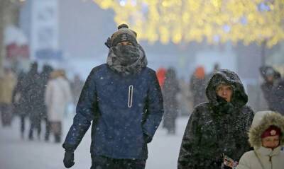 Гидрометцентр предупредил о 30-градусных морозах в центральной части России
