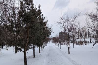 В пятницу в Красноярске ожидается потепление до -3 градусов