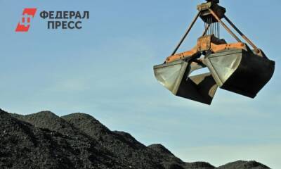 Жители приморского поселка попросили Путина спасти их от угольной пыли