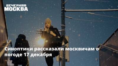 Синоптики рассказали москвичам о погоде 17 декабря