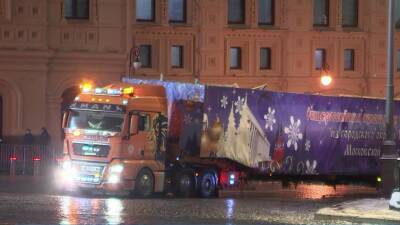 Главную новогоднюю елку страны из подмосковного Щелкова доставили в Кремль