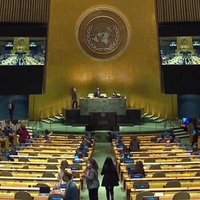 Генассамблея ООН приняла российскую резолюцию по борьбе с героизацией нацизма