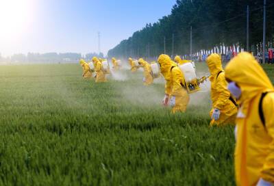 С нового года вводится система, контролирующая использование пестицидов
