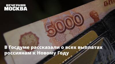 Светлана Бессараб - Валерий Рязанский - В Госдуме рассказали о всех выплатах россиянам к Новому Году - vm.ru - Россия - Курская обл.