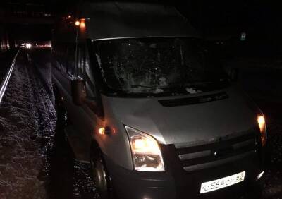 На въезде в Рязань рухнувший с надземного перехода снежный ком повредил автомобиль