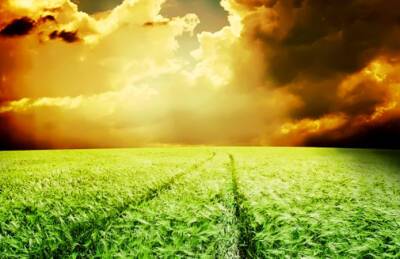 Фермер нашла решение, как противостоять изменениям климата - agroportal.ua - Украина