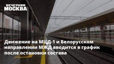 Движение на МЦД-1 и Белорусском направлении МЖД вводится в график после остановки состава - vm.ru - территория Белорусское Направление