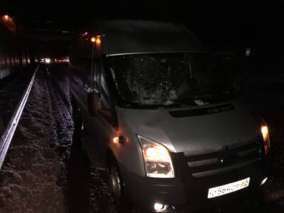 Рухнувший с надземного перехода снег повредил в Рязани автомобиль