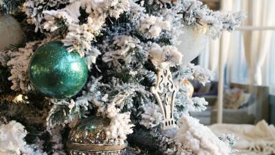 Флорист Сафронова перечислила альтернативы новогодней елке