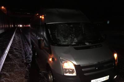 В Рязани снег, упавший с надземного перехода, разбил машину