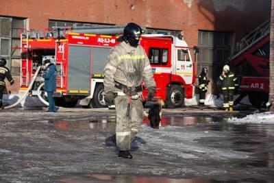 Глава МЧС: Россия занимает первое месте в мире по числу погибших на пожарах