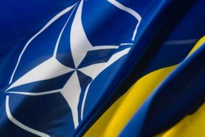 НАТО призвали Россию не вмешиваться в их отношения с Украиной