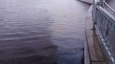 На поверхности реки в Бресте обнаружено пятно нефтепродуктов