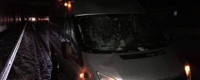 В Рязани упавший с надземного перехода снег разбил лобовое стекло микроавтобуса