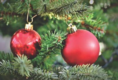 Благодарные пациенты установили новогоднее дерево у медчасти в Сосновом Бору