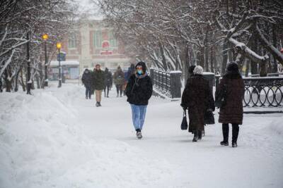 Потепление до -1 градуса и метель придут в Новосибирск в выходные