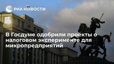 Комитет Госдумы одобрил проекты о налоговом эксперименте для микропредприятий