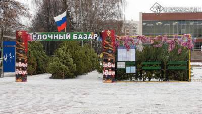 В Ульяновске открылись елочные базары. Как выбрать, где купить