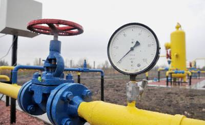 Страна (Украина): «Нафтогаз» не может удержать низкие тарифы, нужно переходить на биогаз