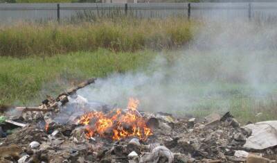 В МЧС объяснили, почему нельзя сжигать мусор на даче