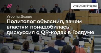 Политолог объяснил, зачем властям понадобилась дискуссия о QR-кодах в Госдуме