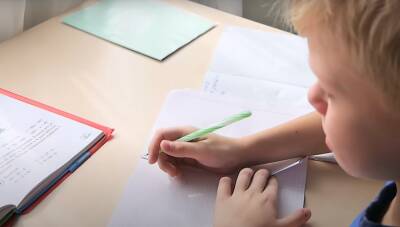 "Родители должны за учителей работать?": домашние задания в школах хотят отменить