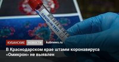 В Краснодарском крае штамм коронавируса «Омикрон» не выявлен