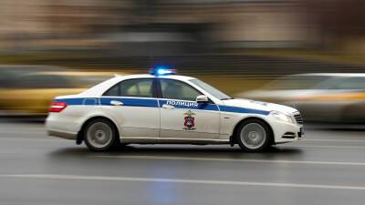 Во Владимирской области полицейские изъяли более 700 кг наркотиков