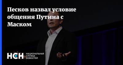 Песков назвал условие общения Путина с Маском
