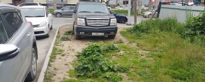 Депутаты Думы города Братск продолжают борьбу с незаконными парковками во дворах