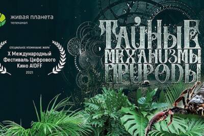 Проект телеканала «Живая Планета» получил приз на Афинском международном фестивале цифрового кино