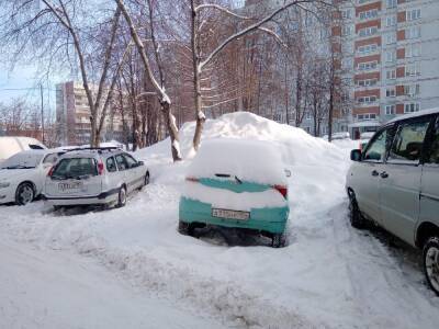 На грядущих выходных в Новосибирске ожидается потепление и метель