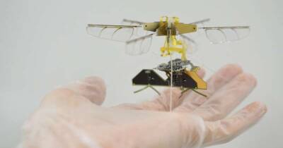 Ученые создали дрон-насекомое: с хлопающими крыльями и без аккумулятора (фото)