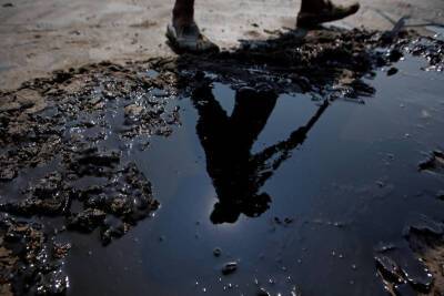 Сотрудники SOCAR расчистили около 2,5 тыс. га нефтезагрязненных территорий - trend.az - Азербайджан