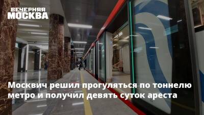 Москвич решил прогуляться по тоннелю метро и получил девять суток ареста