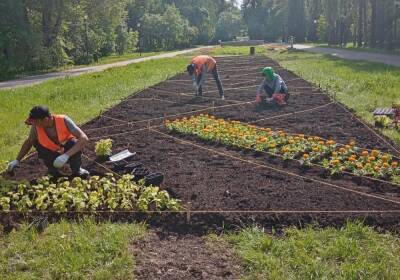 Порядка 17,5 тыс. растений было высажено работниками ГЖД в 2021 году - vgoroden.ru - Нижегородская обл.