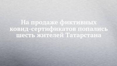 На продаже фиктивных ковид-сертификатов попались шесть жителей Татарстана